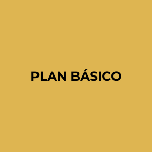 PLAN BÁSICO